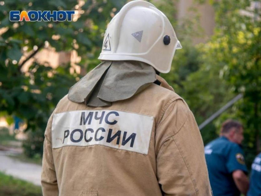 В Воронежской области повсеместно ввели особый противопожарный режим 