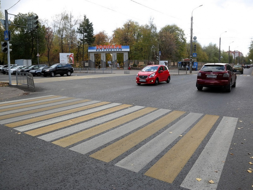 Дорожная разметка появится еще на 200 улицах в Воронеже