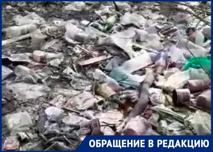 «5 лет не убирается дворник»: воронежцы попросили помощи Кстенина в связи с помойным завалом