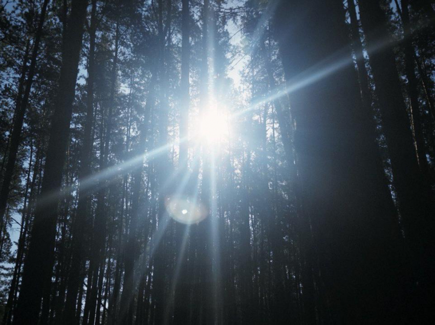 Какие сюрпризы принесёт погода в Воронеж на этой неделе?