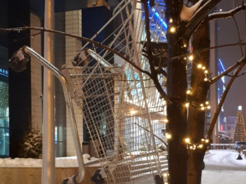 Воронежцы поглумились над новогодним деревом в центре города
