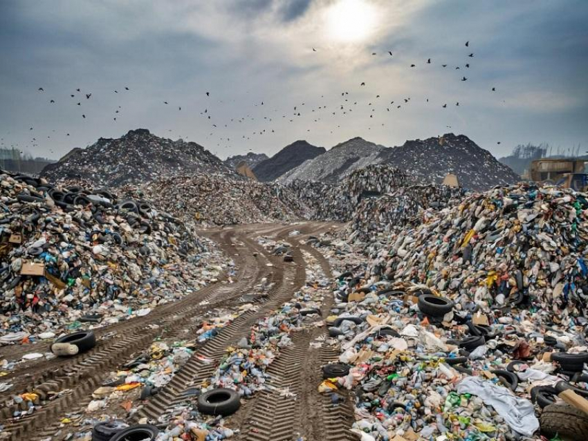 Плата за вывоз мусора скоро может увеличиться десятикратно