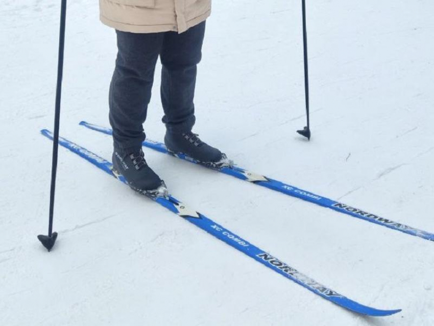 Новую лыжероллерную трассу могут построить в Воронежской области за 137 млн рублей