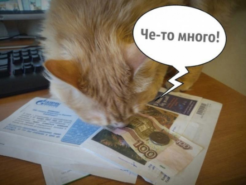 Воронежцам напомнили неприятную новость о тарифах 
