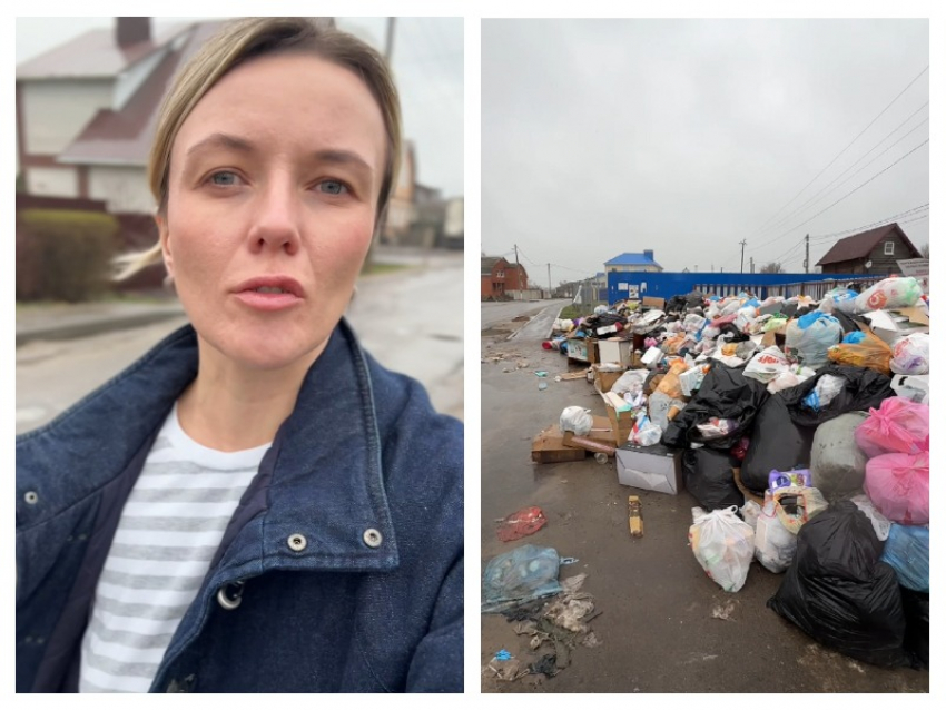 Здесь обитают крысы: воронежский блогер Polza трубит о мусорной катастрофе  