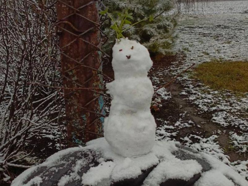 Первого снеговика заметили в Воронеже