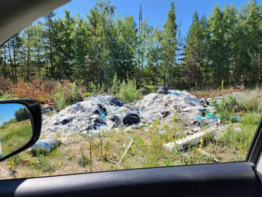 Воронежская область вошла в десятку самых замусоренных регионов страны