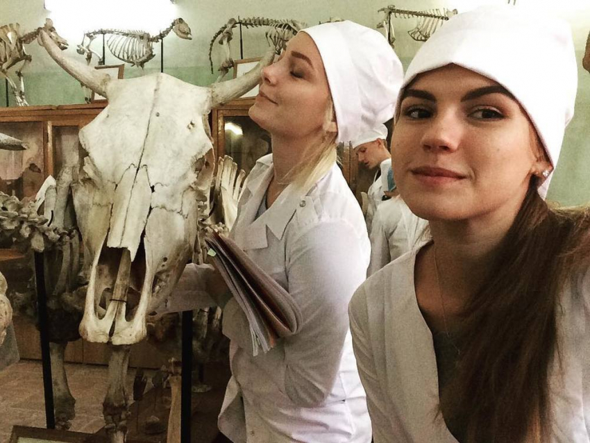 Воронежские студентки сделали селфи с мертвыми животными