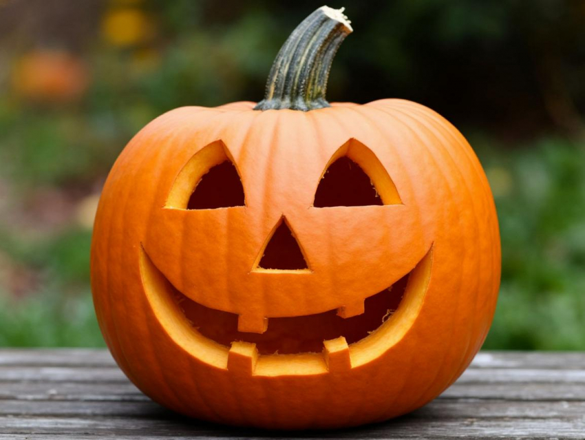 Вкус осени: согревающие рецепты из тыквы 