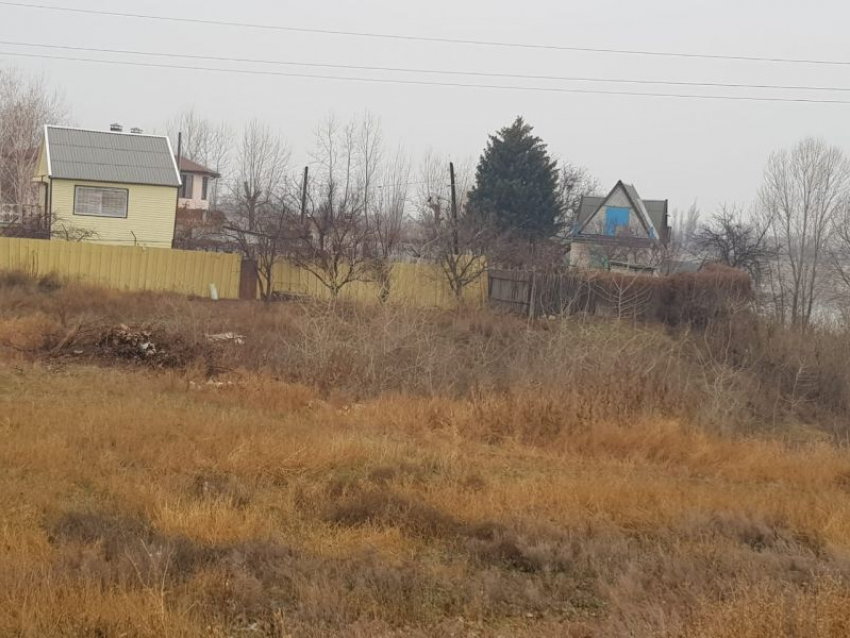 Сотни га федеральной земли незаконно прихватила фирма в Воронежской области