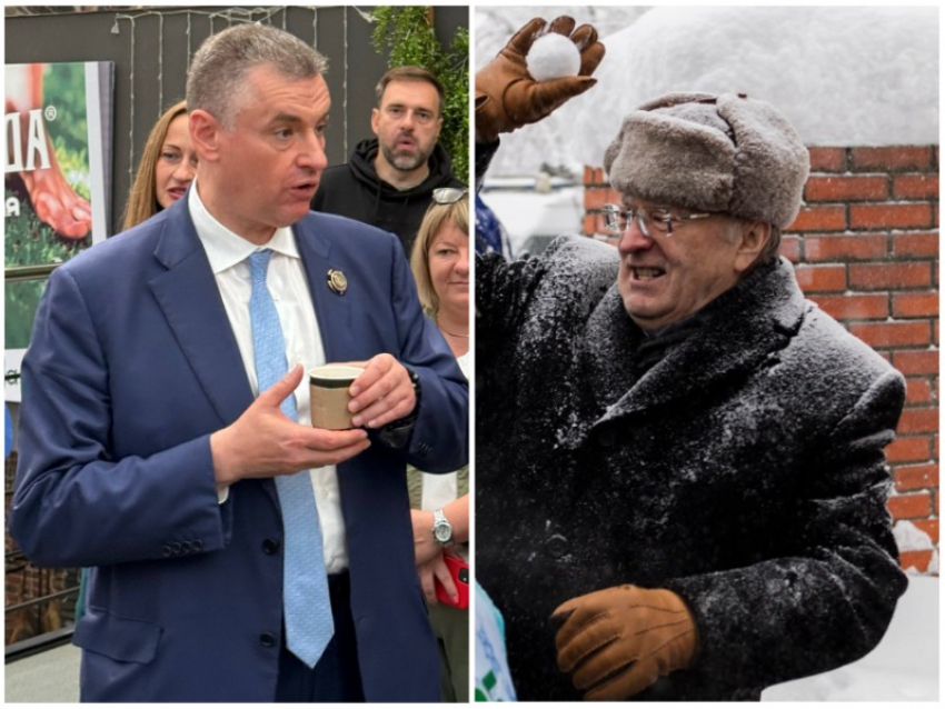 Старое против нового: почему воронежские политологи вспомнили про Жириновского