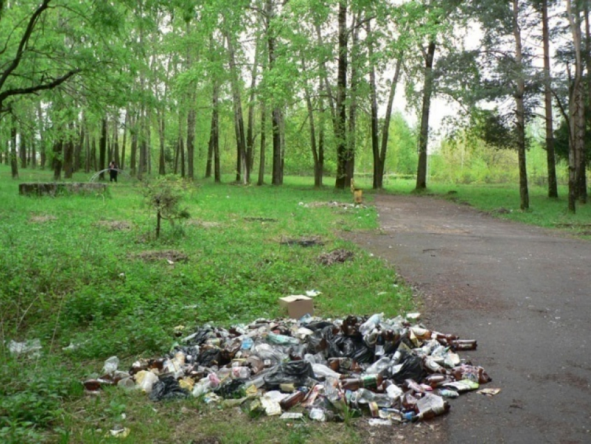 «Это или тайная игра, или мэр не знает, что происходит в Воронеже с уборкой мусора»