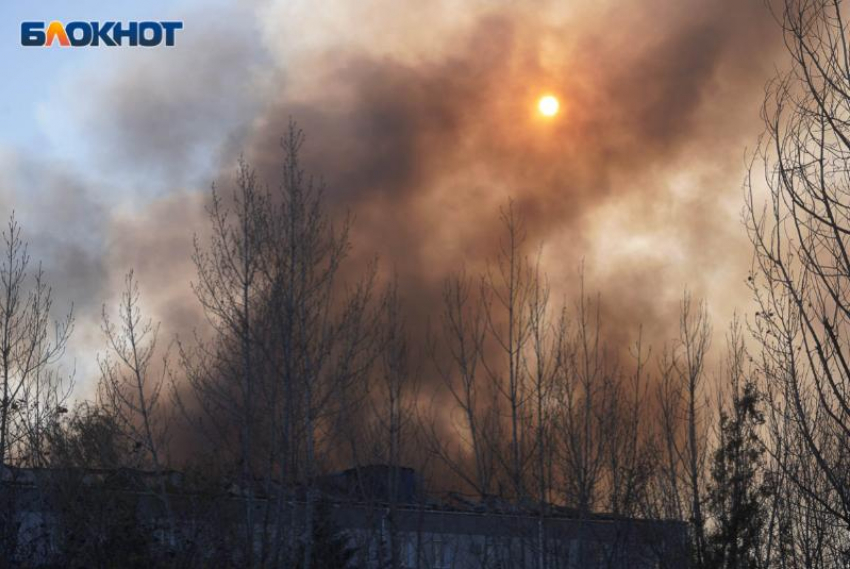 Особый противопожарный режим отменили в Воронежской области