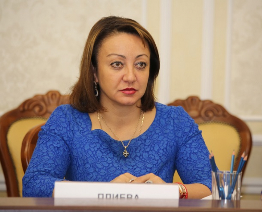 Уголовное дело о незаконном бизнесе бывшего вице-мэра Плиевой прекратили в Воронеже