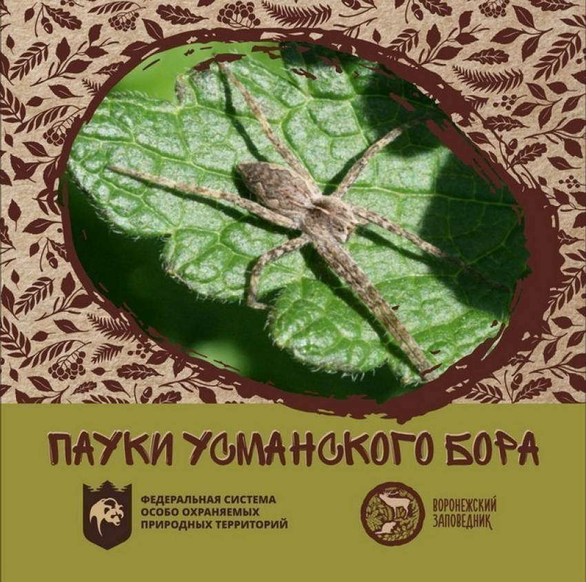 Воронежский биосферный заповедник выпустил  книгу о пауках Усманского бора