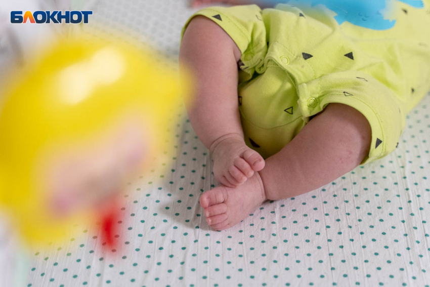 Кит и Данте: названы самые необычные имена маленьких воронежцев