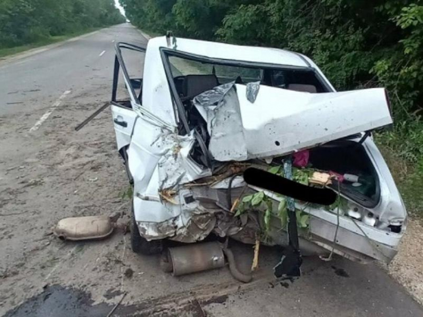 Машина всмятку: молодая водитель нарушила ПДД и жёстко врезалась в дерево на воронежской трассе