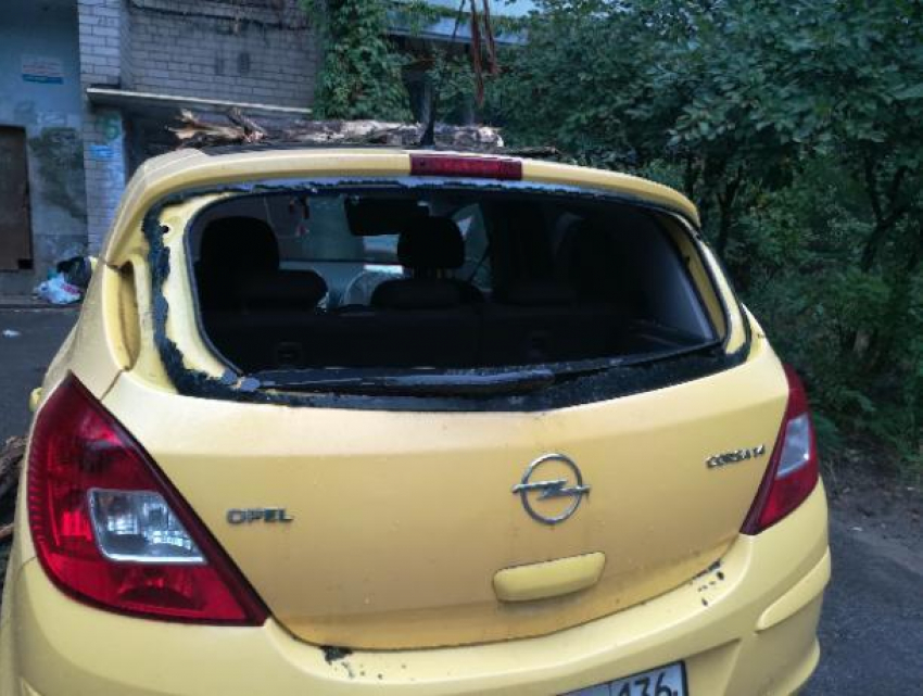 Упавшая ветка разнесла стекло Opel Corsa в Воронеже