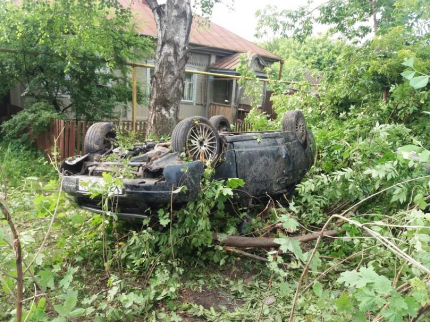 Последствия смертельной встречи воронежской «Приоры» с деревом показали на фото 