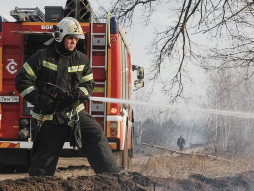 «Пожарная опасность будет увеличиваться»: МЧС спрогнозировало обстановку в Воронежской области  