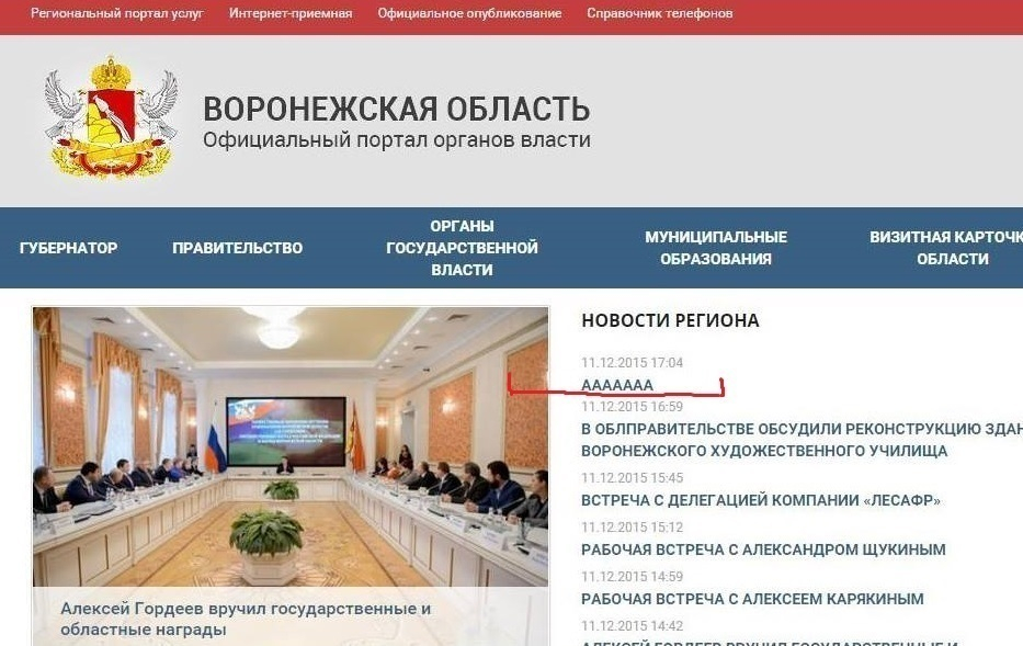 Портал Воронежского правительства закричал, устав от пропаганды