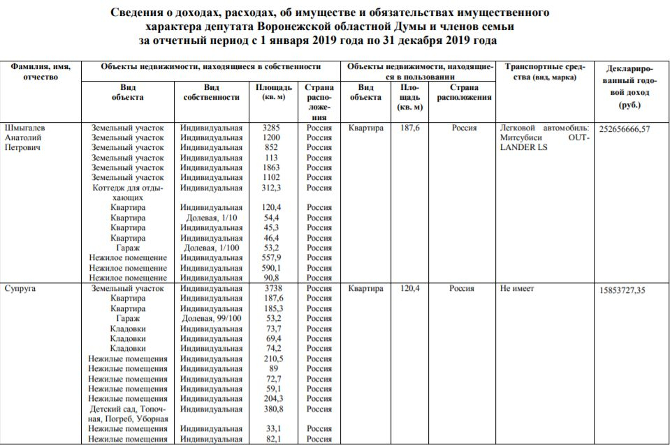 План мероприятий воронежская областная дума