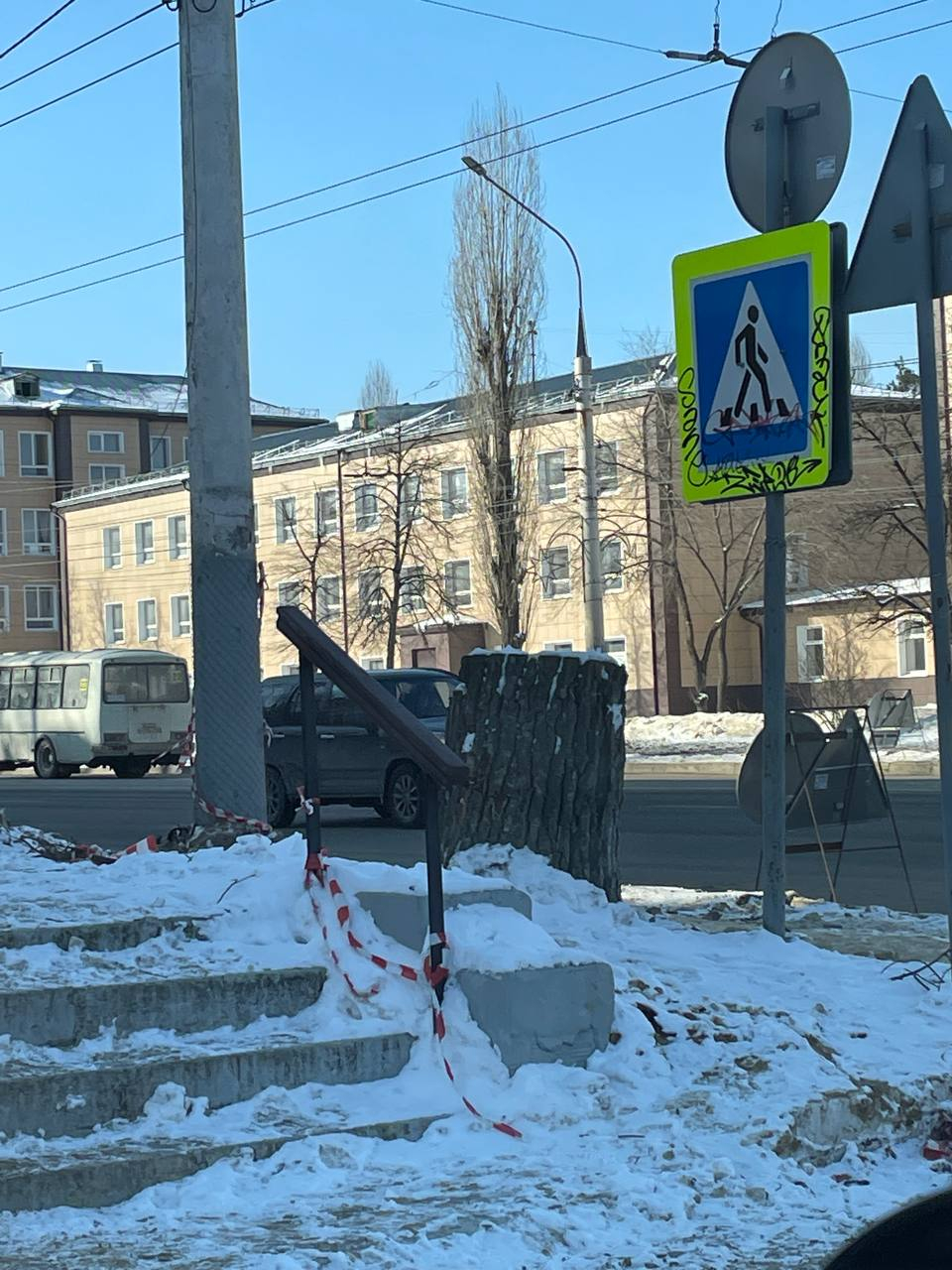 Вырубка деревьев. Деревья в Воронеже. Вырубка деревьев на Тверской улице.