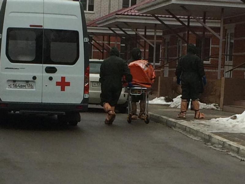здрав1.jpg
